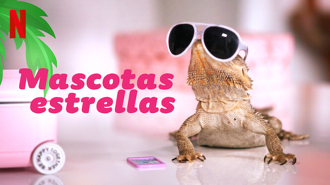 Mascotas estrellas